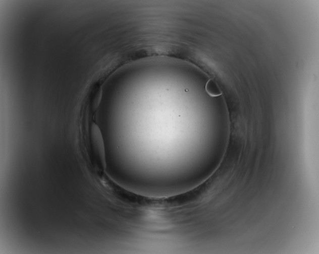X0000089450738200706151431