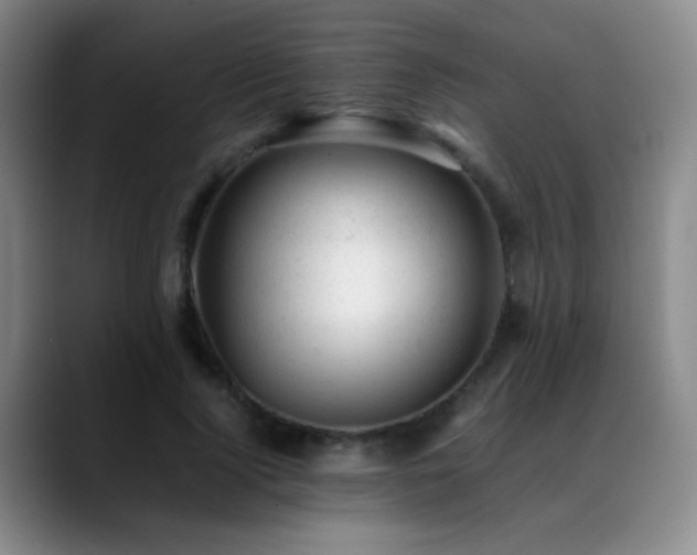 X0000089450740200706151431