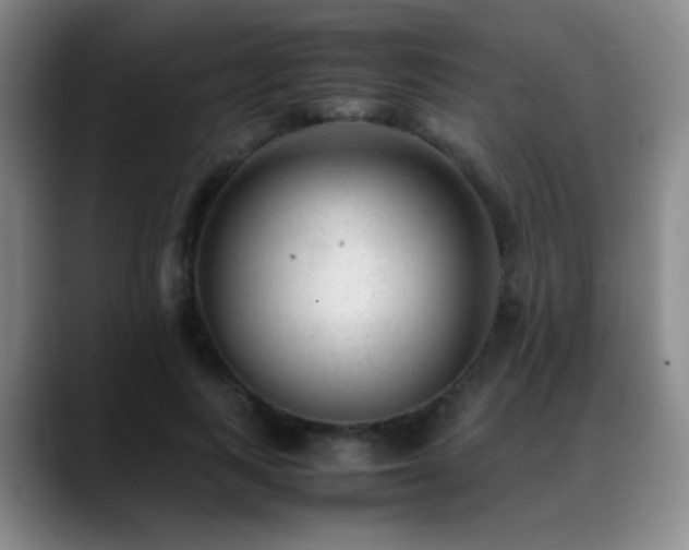 X0000089450743200706151431