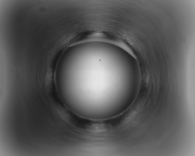 X0000089450744200706151431