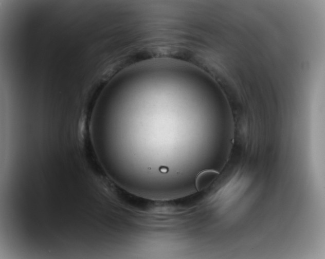 X0000089450746200706151431