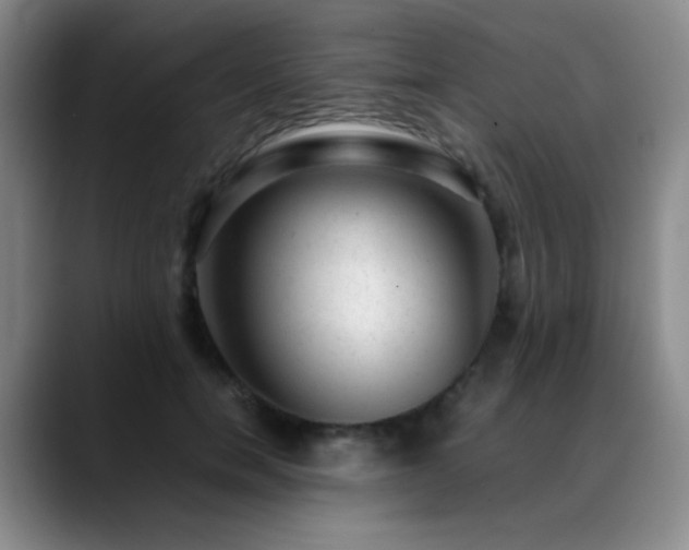 X0000089450750200706151431