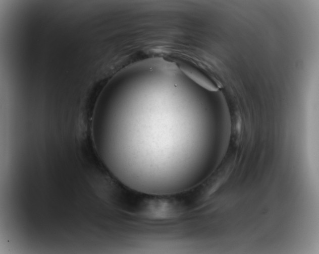 X0000089450751200706151431