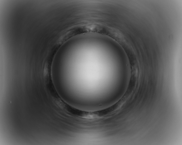 X0000089450754200706151431