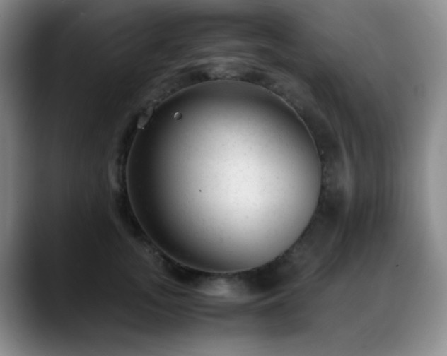 X0000089450755200706151431