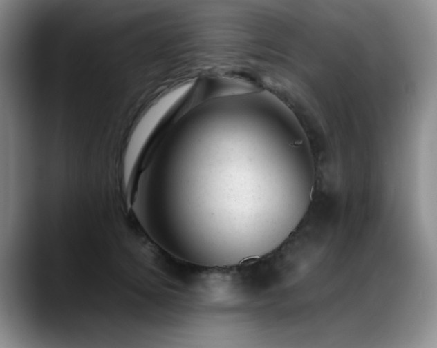 X0000089450756200706151431