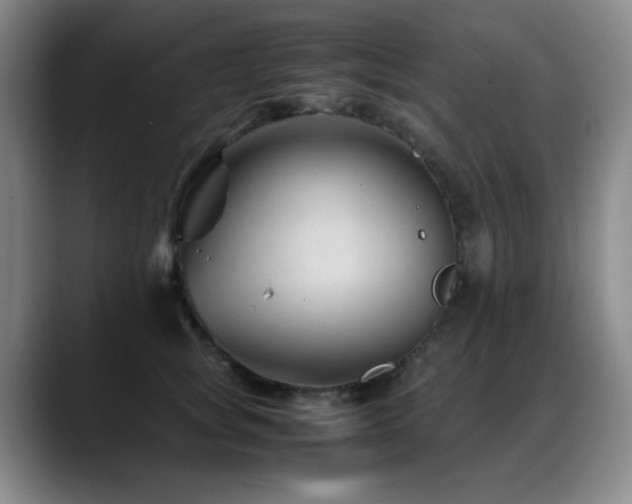 X0000089450757200706151431