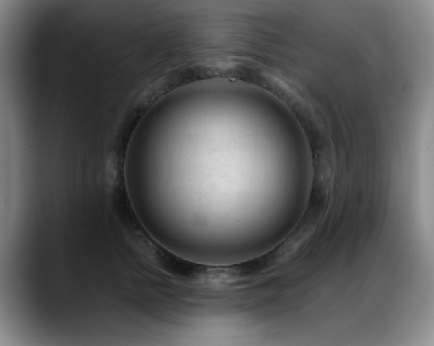 X0000089450758200706151431