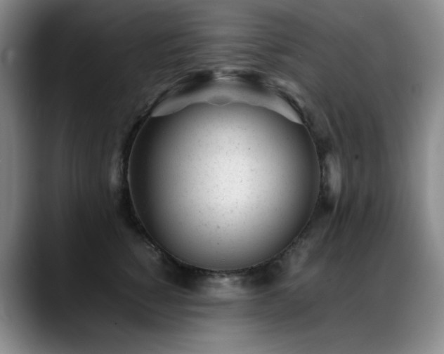 X0000089450760200706151431