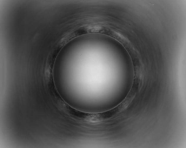 X0000089450761200706151431