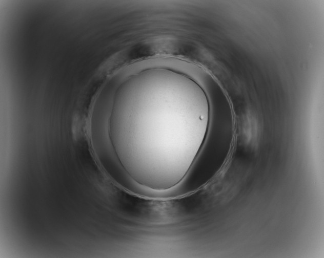 X0000089450762200706151431