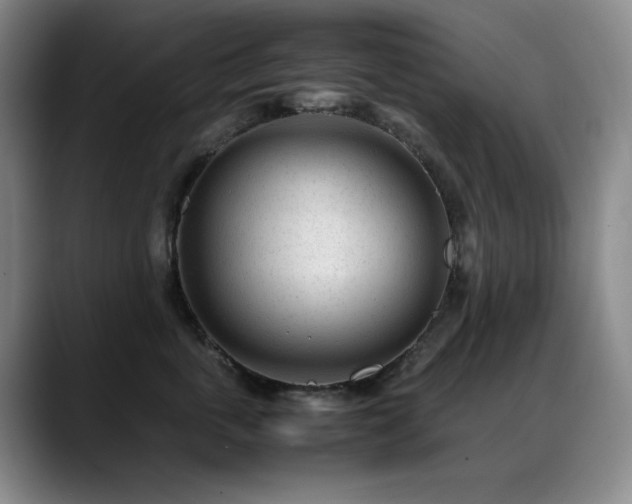X0000089450763200706151431