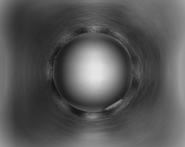X0000089450766200706151431