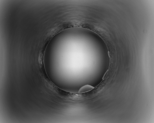 X0000089450768200706151431