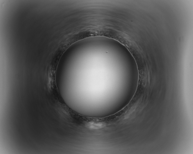 X0000089450770200706151431