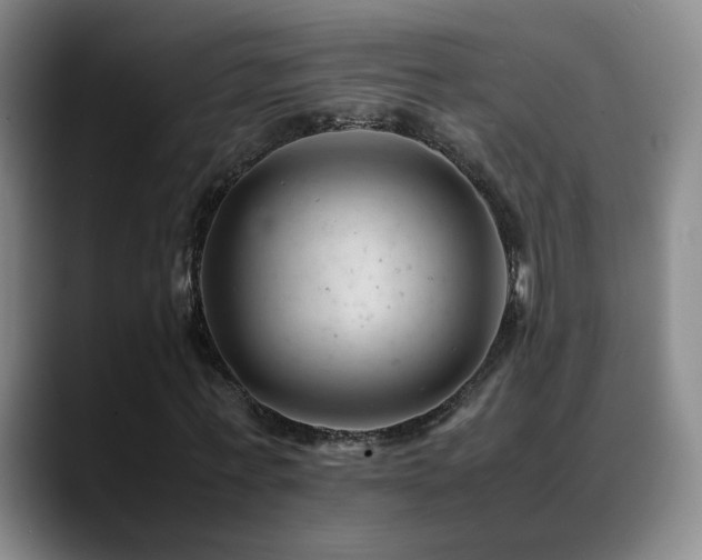X0000089450771200706151431