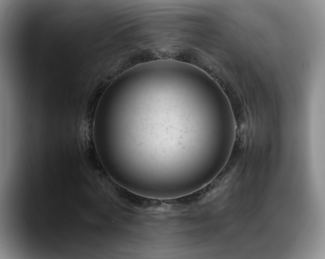 X0000089450772200706151431