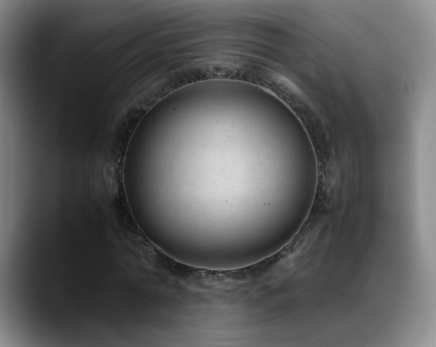 X0000089450774200706151431