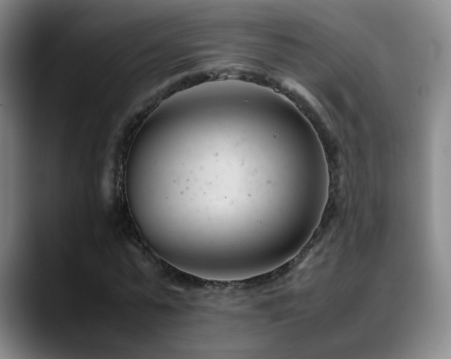 X0000089450775200706151431