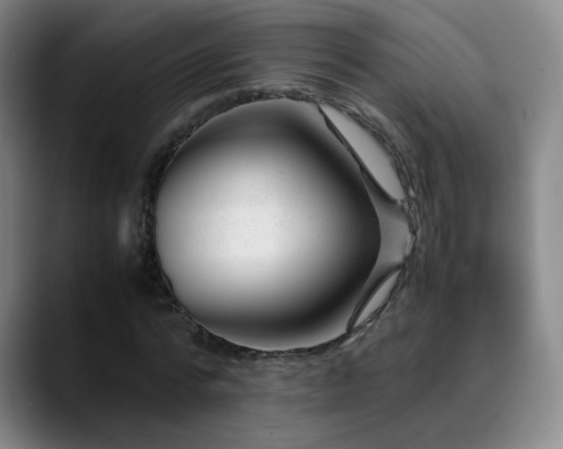 X0000089450776200706151431