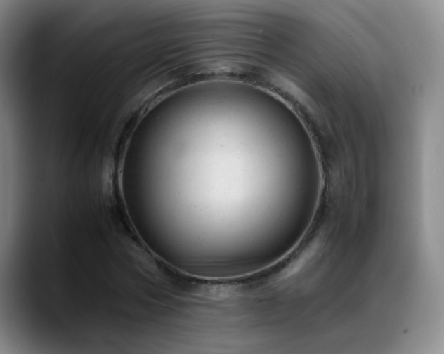 X0000089450778200706151431