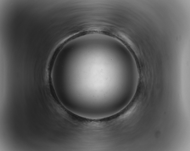 X0000089450779200706151431