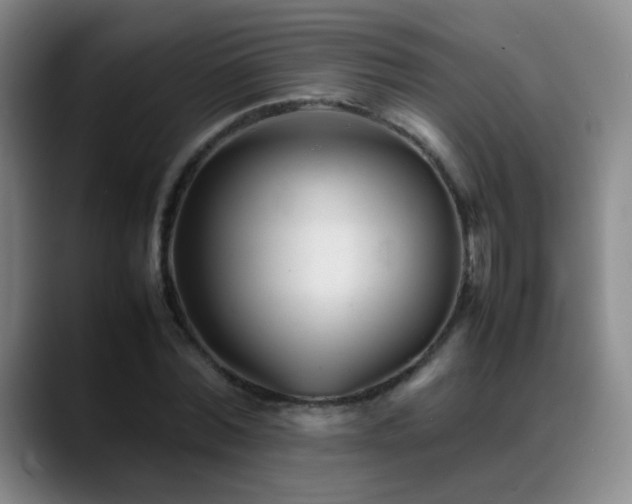 X0000089450780200706151431