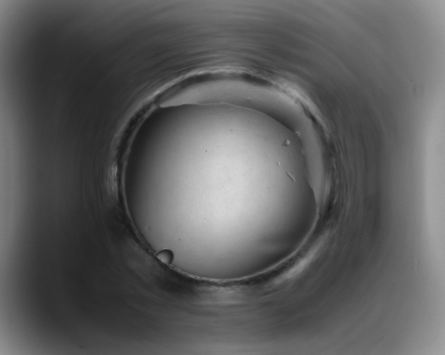 X0000089450781200706151431