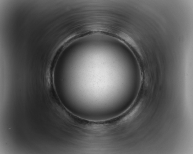 X0000089450782200706151431