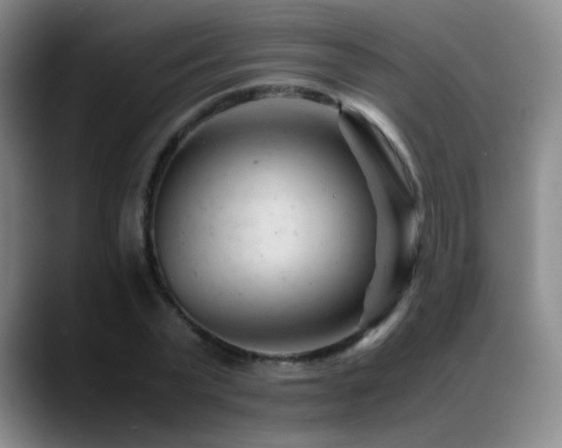 X0000089450783200706151431
