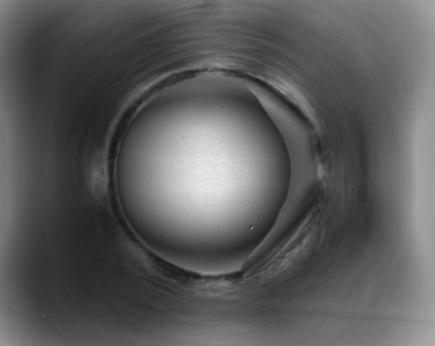 X0000089450784200706151431