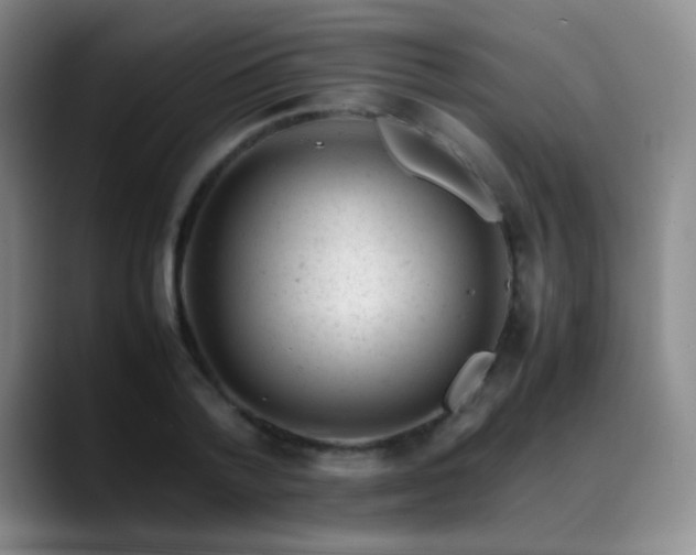 X0000089450788200706151431