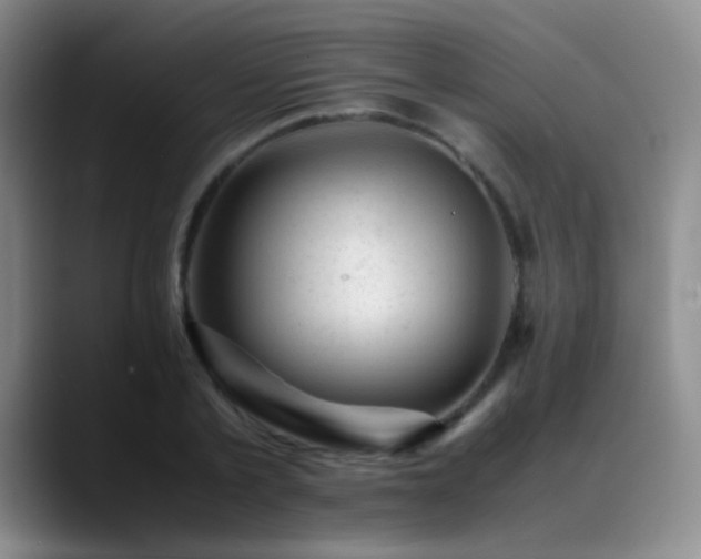 X0000089450789200706151431