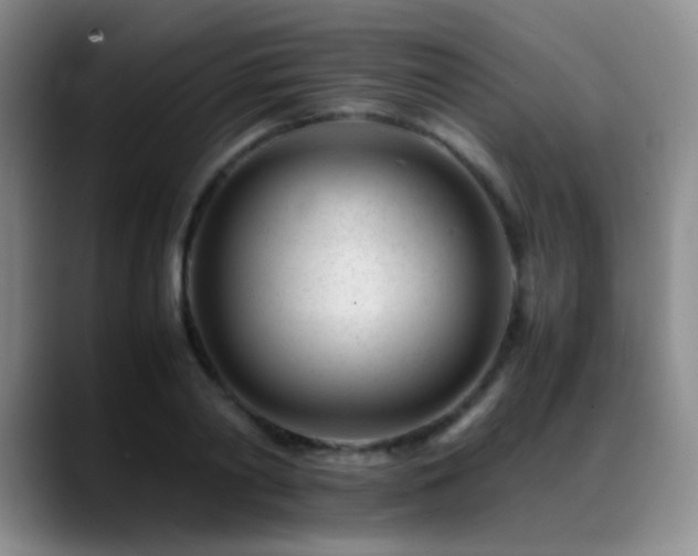 X0000089450790200706151431
