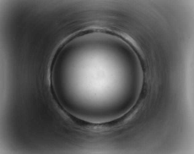 X0000089450791200706151431