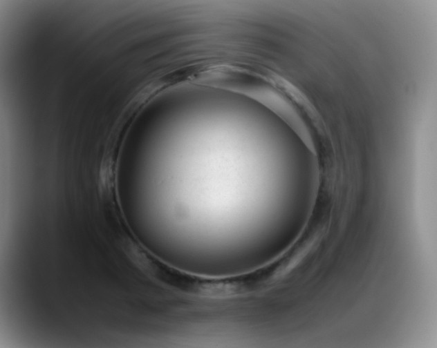 X0000089450793200706151431