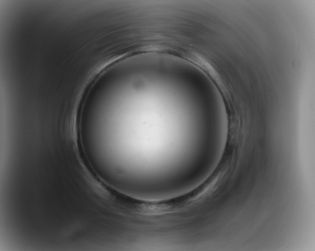 X0000089450795200706151431