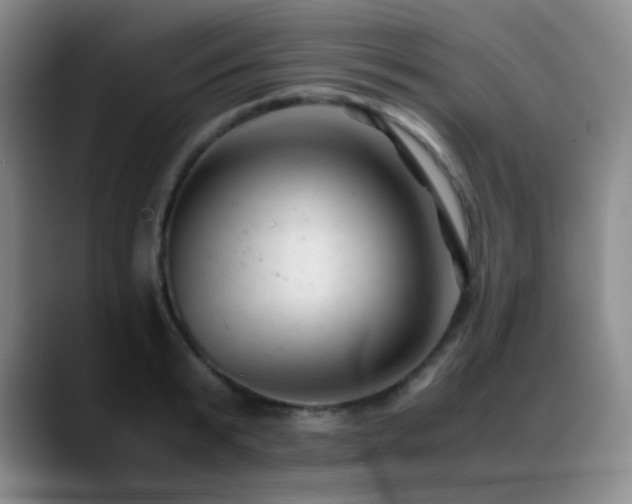 X0000089450799200706151431