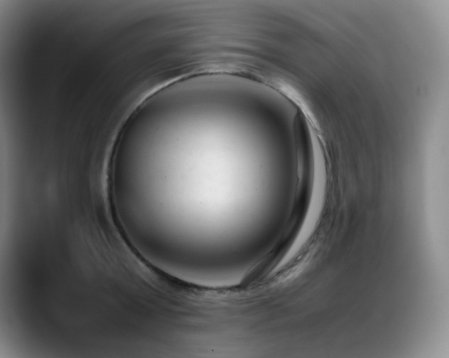 X0000089450803200706151430