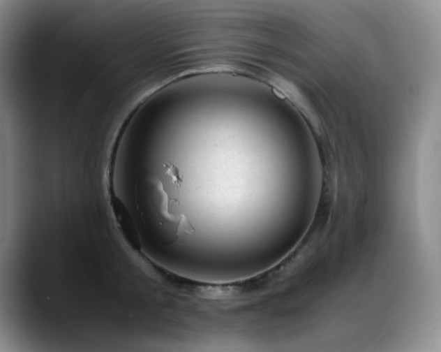 X0000089450805200706151430