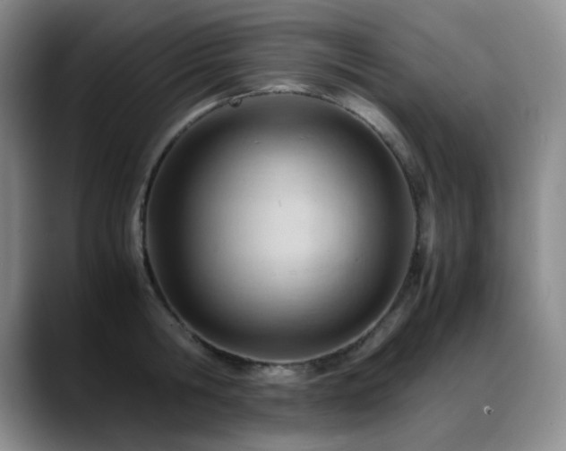 X0000089450806200706151430
