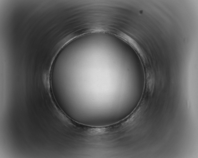 X0000089450810200706151430