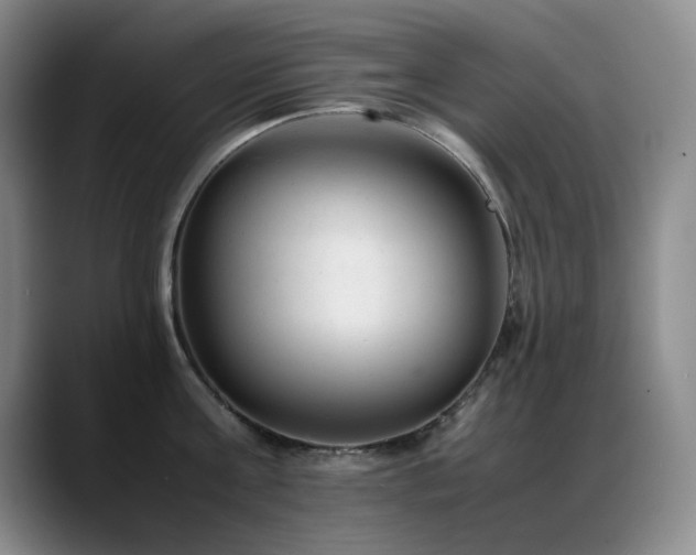 X0000089450811200706151430