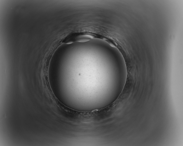 X0000089450817200706151430