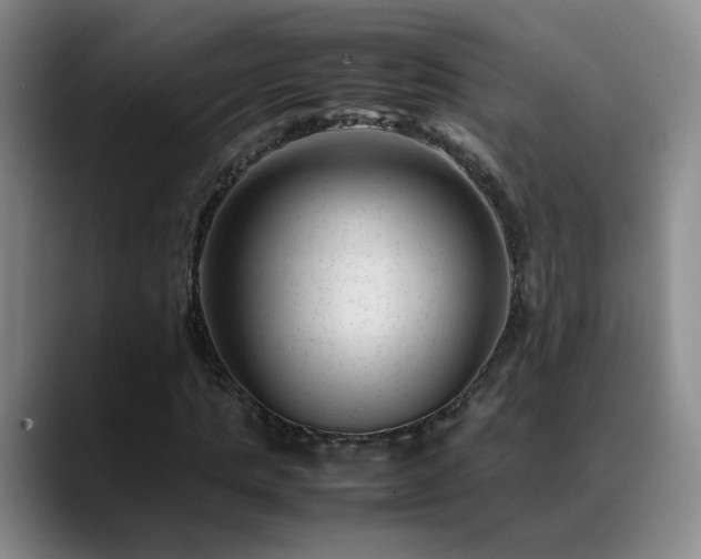 X0000089450821200706151430