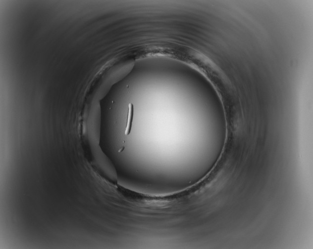 X0000089450825200706151430