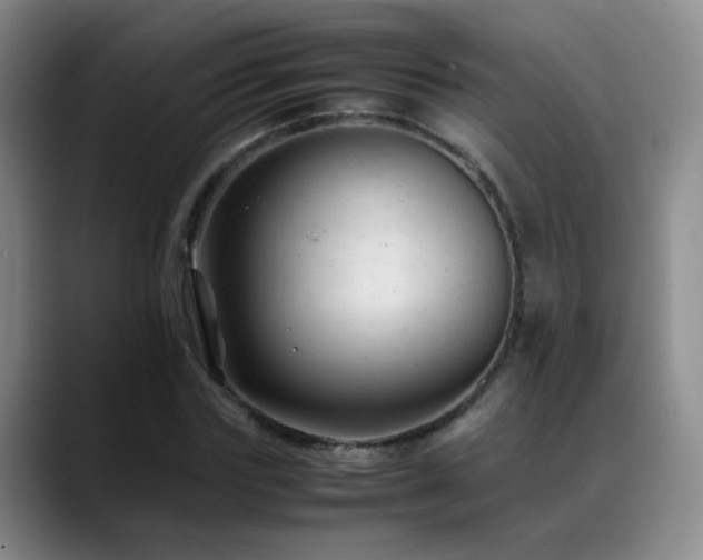 X0000089450827200706151430
