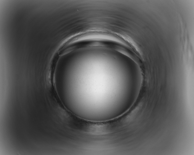 X0000089450830200706151430