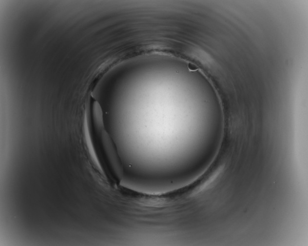 X0000089450833200706151430