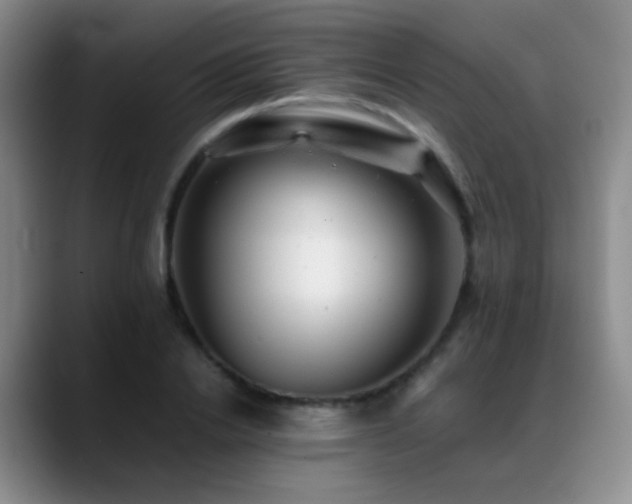 X0000089450838200706151430